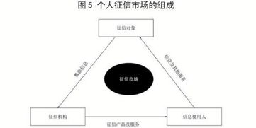 起底個(gè)人征信軟件開發(fā) 技術(shù)賦能與合規(guī)挑戰(zhàn)